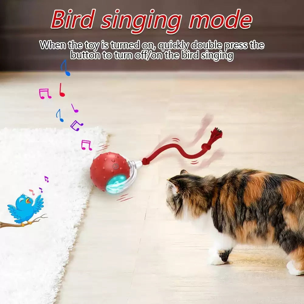Interactive Cat Toy Ball Super Drive Cat Rolling Balls With